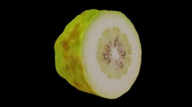 Siyah arka planda yarı yerli Filipinli Lemon 'un gerçekçi bir canlandırması. Video kusursuz bir şekilde döngüye giriyor ve üç boyutlu nesne gerçek bir limondan taranıyor..