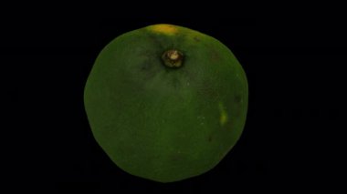 Şeffaf arkaplanda (alfa kanalı ile) yuvarlanan bir Lime 'ın gerçekçi canlandırması. Video kusursuz bir şekilde döngüye giriyor ve 3 boyutlu nesne gerçek bir kireçten taranıyor..