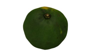 Beyaz arka planda yuvarlanan bir kireçtaşının gerçekçi canlandırması. Video kusursuz bir şekilde döngüye giriyor ve 3 boyutlu nesne gerçek bir kireçten taranıyor..