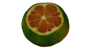 Beyaz arka planda Lime 'ın yuvarlanan kesiminin gerçekçi bir canlandırması. Video kusursuz bir şekilde döngüye giriyor ve 3 boyutlu nesne gerçek bir kireçten taranıyor...