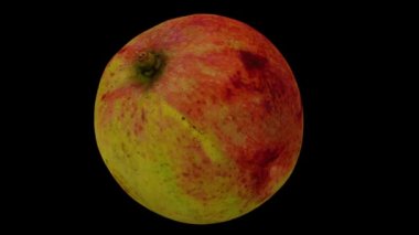 Siyah zemin üzerinde dönen bir Apple Mango 'nun (Filipinler' den) gerçekçi canlandırması. Video kusursuz bir şekilde döngüye giriyor ve üç boyutlu nesne gerçek bir mangodan taranıyor.