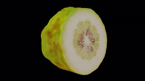 Realistický Vykreslení Válcované Poloviny Native Philippine Lemon Průhledném Pozadí Alfa — Stock video