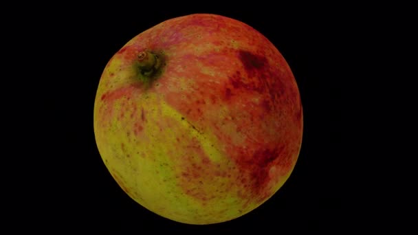 Renderizado Realista Apple Mango Giratorio Filipinas Sobre Fondo Transparente Con — Vídeos de Stock