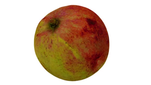 Realistisk Återgivning Snurrande Apple Mango Från Filippinerna Vit Bakgrund Videon — Stockvideo