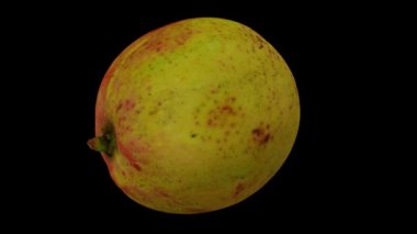 Siyah zemin üzerinde dönen bir Apple Mango 'nun (Filipinler' den) gerçekçi canlandırması. Video kusursuz bir şekilde döngüye giriyor ve üç boyutlu nesne gerçek bir mangodan taranıyor..