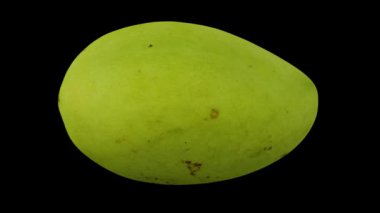 Siyah arka planda Beyaz Elma Mangosu 'nun (Filipinler' den) gerçekçi bir canlandırması. Video kusursuz bir şekilde döngüye giriyor ve üç boyutlu nesne gerçek bir mangodan taranıyor..