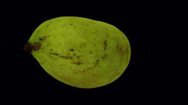 Şeffaf arkaplanda (alfa kanalı ile) dönen bir Yeşil (Olgunlaşmamış) Fildişi Mango 'nun gerçekçi canlandırması. Video kusursuz bir şekilde döngüye giriyor ve üç boyutlu nesne gerçek bir mangodan taranıyor..