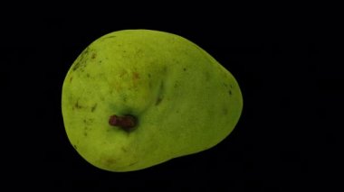 Şeffaf arkaplanda (alfa kanalı ile) dönen bir kesiğin gerçekçi yorumlaması Yeşil (Olgunlaşmamış) Fildişi Mango. Video kusursuz bir şekilde döngüye giriyor ve üç boyutlu nesne gerçek bir mangodan taranıyor..