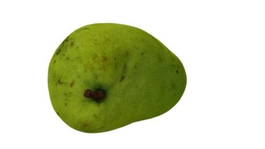 Beyaz arkaplanda dönen yeşil (Olgunlaşmamış) Fildişi Mango 'nun gerçekçi canlandırması. Video kusursuz bir şekilde döngüye giriyor ve üç boyutlu nesne gerçek bir mangodan taranıyor..