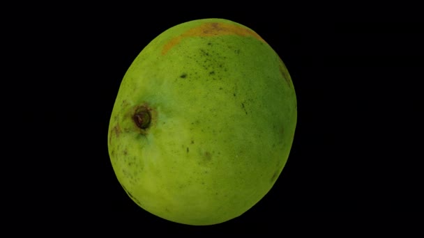 Rendering Realistico Mango Filante Filippino Verde Varietà Katchamitha Sfondo Trasparente — Video Stock