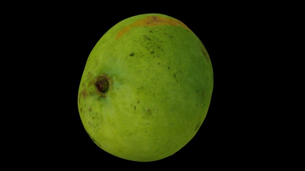 Realistic Render Spinning Philippine Green Mango Katchamitha Variety Black Background — Stock Video