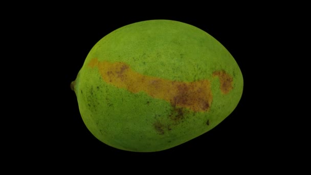Rendering Realistico Mango Verde Filippino Ondulato Varietà Katchamitha Sfondo Nero — Video Stock