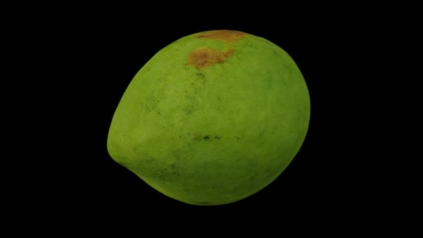 Rendering Realistico Mango Verde Filippino Rotante Varietà Katchamitha Sfondo Nero — Video Stock