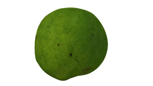 Realista Renderizado Corte Giratorio Philippine Green Mango Variedad Katchamitha Sobre — Vídeos de Stock