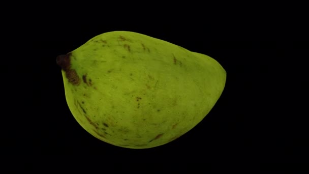 Realistische Weergave Van Een Draaiende Groene Onrijpe Ivory Mango Transparante — Stockvideo