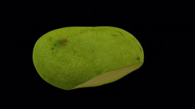 Şeffaf arkaplan üzerinde (alfa kanalı ile) dönen bir kesiğin gerçekçi canlandırması Yeşil (Olgunlaşmamış) Fildişi Mango. Video kusursuz bir şekilde döngüye giriyor ve üç boyutlu nesne gerçek bir mangodan taranıyor..