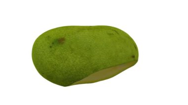 Beyaz arkaplanda yeşil (Olgunlaşmamış) Fildişi Mango 'nun gerçekçi bir canlandırması. Video kusursuz bir şekilde döngüye giriyor ve üç boyutlu nesne gerçek bir mangodan taranıyor..