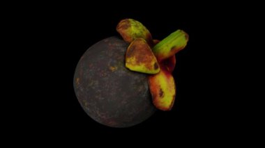Siyah arka planda dönen bir Mangosteen 'in gerçekçi canlandırması. Video kusursuz bir şekilde döngüye giriyor ve üç boyutlu nesne gerçek bir mangosteen 'den taranıyor..