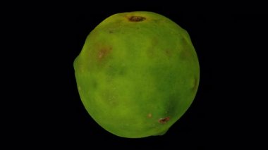 Şeffaf arka planda (alfa kanalı ile) dönen yerli Filipin portakalının gerçekçi canlandırması. Video kusursuz bir şekilde döngüye giriyor ve 3 boyutlu nesne gerçek bir portakaldan taranıyor..