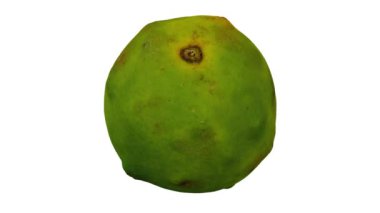 Beyaz arka planda yuvarlanan yerli Filipin portakalının gerçekçi canlandırması. Video kusursuz bir şekilde döngüye giriyor ve 3 boyutlu nesne gerçek bir portakaldan taranıyor..