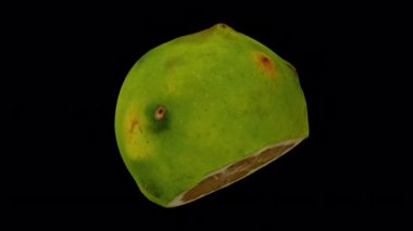 Şeffaf arka planda (alfa kanalı ile) doğal Filipin Portakalı 'nın dönüşümlü bir canlandırması. Video kusursuz bir şekilde döngüye giriyor ve 3 boyutlu nesne gerçek bir portakaldan taranıyor..