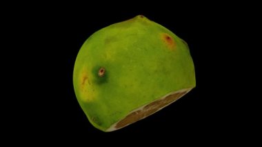 Siyah arka planda Filipin Turuncusu 'nun dönüşümlü görüntüsü. Video kusursuz bir şekilde döngüye giriyor ve 3 boyutlu nesne gerçek bir portakaldan taranıyor..