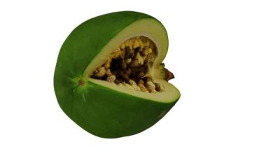 Beyaz arkaplanda dönen yeşil (Olgunlaşmamış) bir kesiğin gerçekçi canlandırması. Video kusursuz bir şekilde döngüye giriyor ve üç boyutlu nesne gerçek bir papaya tarafından taranıyor..