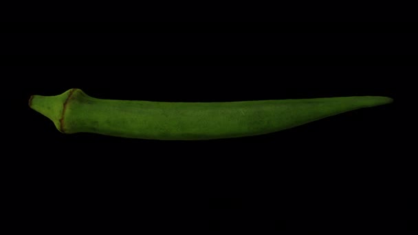 Renderizado Realista Una Okra Rodante Okro Ochro Pod Sobre Fondo — Vídeos de Stock