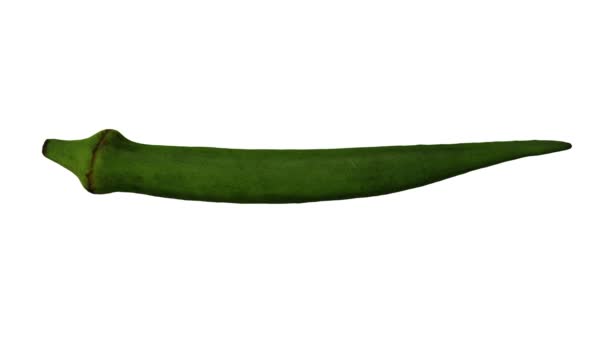 Representación Realista Una Okra Rodante Okro Ochro Pod Sobre Fondo — Vídeos de Stock