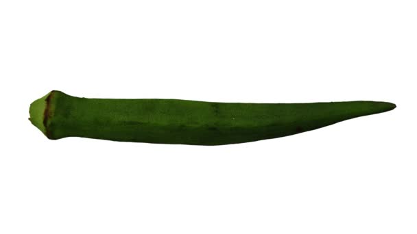 Realistic Render Rolling Okra Okro Ochro Pod White Background Video — Stock Video