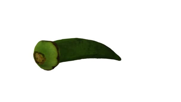 Rendimiento Realista Una Okra Giratoria Okro Ochro Pod Sobre Fondo — Vídeos de Stock