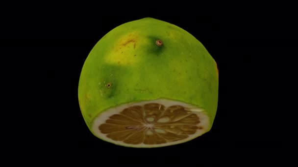 在透明的背景下真实渲染滚动切割的菲律宾本土橙子 带有Alpha通道 视频是无缝循环的 3D物体是由一个真正的橙色扫描的 — 图库视频影像