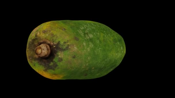 Realistické Vykreslení Rotující Ripe Papaya Odrůda Red Lady Černém Pozadí — Stock video