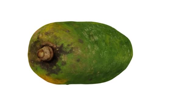 Resa Realistica Una Papaya Ripe Rotante Varietà Red Lady Sfondo — Video Stock