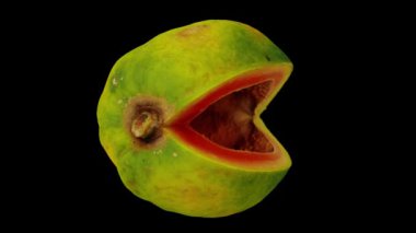 Siyah zemin üzerinde olgun papaya (Kırmızı Kadın çeşitliliği) şeklinde dönen bir kesiğin gerçekçi canlandırması. Video kusursuz bir şekilde döngüye giriyor ve üç boyutlu nesne gerçek bir papaya tarafından taranıyor..