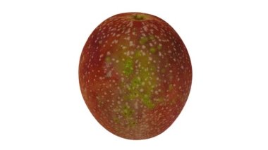 Beyaz arka planda dönen Tutku Meyvesi 'nin gerçekçi bir canlandırması. Video kusursuz bir şekilde döngüye giriyor ve 3 boyutlu nesne gerçek bir meyveden taranıyor..