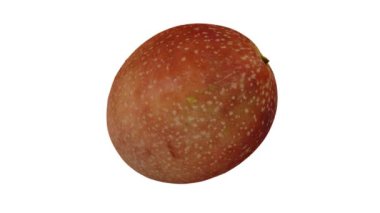 Beyaz arka planda dönen Tutku Meyvesi 'nin gerçekçi canlandırması. Video kusursuz bir şekilde döngüye giriyor ve 3 boyutlu nesne gerçek bir meyveden taranıyor..