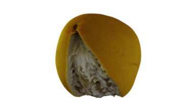 Beyaz arka planda kısmen soyulmuş bir Pomelo 'nun (Pummelo) gerçekçi canlandırması. Video kusursuz bir şekilde döngüye giriyor ve 3 boyutlu nesne gerçek bir meyveden taranıyor..
