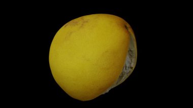 Siyah zemin üzerinde kısmen soyulmuş bir Pomelo 'nun (Pummelo) gerçekçi bir canlandırması. Video kusursuz bir şekilde döngüye giriyor ve 3 boyutlu nesne gerçek bir meyveden taranıyor..