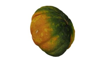 Beyaz arka planda kesilen yeşil balkabağının gerçekçi bir canlandırması. Video kusursuz bir şekilde döngüye giriyor ve üç boyutlu nesne gerçek bir balkabağından taranıyor..