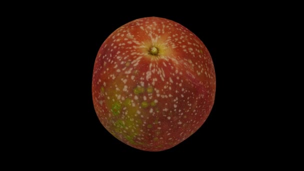 배경에 흐르는 열매를 현실적으로 비디오는 휘감고 물체는 과일에서 스캔되고 있습니다 — 비디오