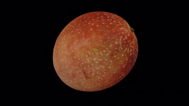 Realistické Vykreslení Rotující Pašijové Ovoce Průhledném Pozadí Alfa Kanálem Video — Stock video