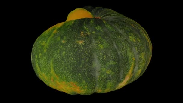 Rendering Realistico Taglio Filatura Zucca Verde Sfondo Nero Video Perfettamente — Video Stock