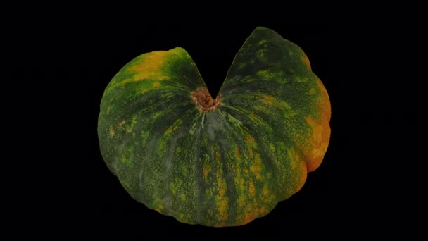 Renderizado Realista Una Calabaza Verde Corte Rodante Sobre Fondo Transparente — Vídeos de Stock