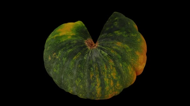 Realistic Render Rolling Cut Green Pumpkin Black Background Video Seamlessly — Stock Video