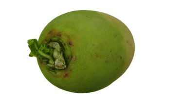 Beyaz arka planda dönen bir karpuz turpunun (Roosehearth, Red Daikon) gerçekçi canlandırması. Video kusursuz bir şekilde döngüye giriyor ve 3 boyutlu nesne gerçek bir turptan taranıyor..