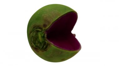 Beyaz arka planda dönen karpuz turpunun (Roosehearth, Red Daikon) gerçekçi bir canlandırması. Video kusursuz bir şekilde döngüye giriyor ve 3 boyutlu nesne gerçek bir turptan taranıyor..