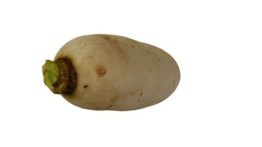 Beyaz arka planda dönen bir Daikon 'un (Beyaz Japon Turpu) gerçekçi canlandırması. Video kusursuz bir şekilde döngüye giriyor ve üç boyutlu nesne gerçek bir daikondan taranıyor..