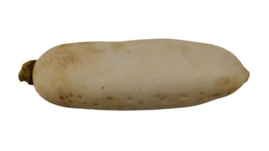 Beyaz arka planda yuvarlanan bir Daikon 'un (Beyaz Japon Turpu) gerçekçi canlandırması. Video kusursuz bir şekilde döngüye giriyor ve üç boyutlu nesne gerçek bir daikondan taranıyor..