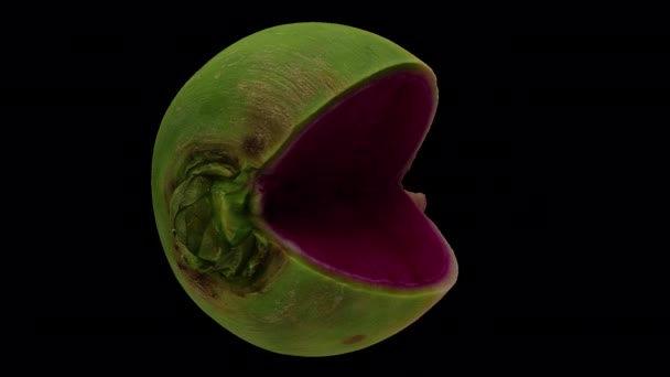 在透明背景 上的旋转切西瓜萝卜的真实感渲染 视频是无缝循环的 3D对象是由一个真正的萝卜扫描的 — 图库视频影像